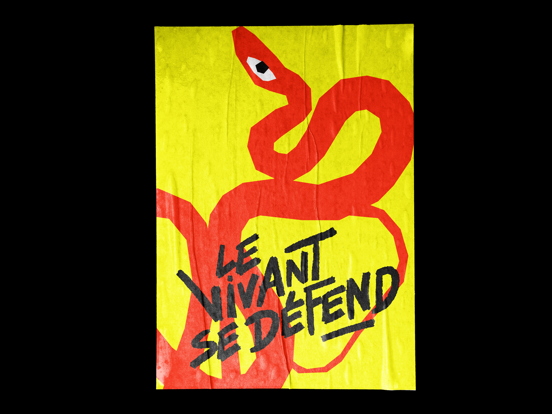 Clément Lavedan – Image 5