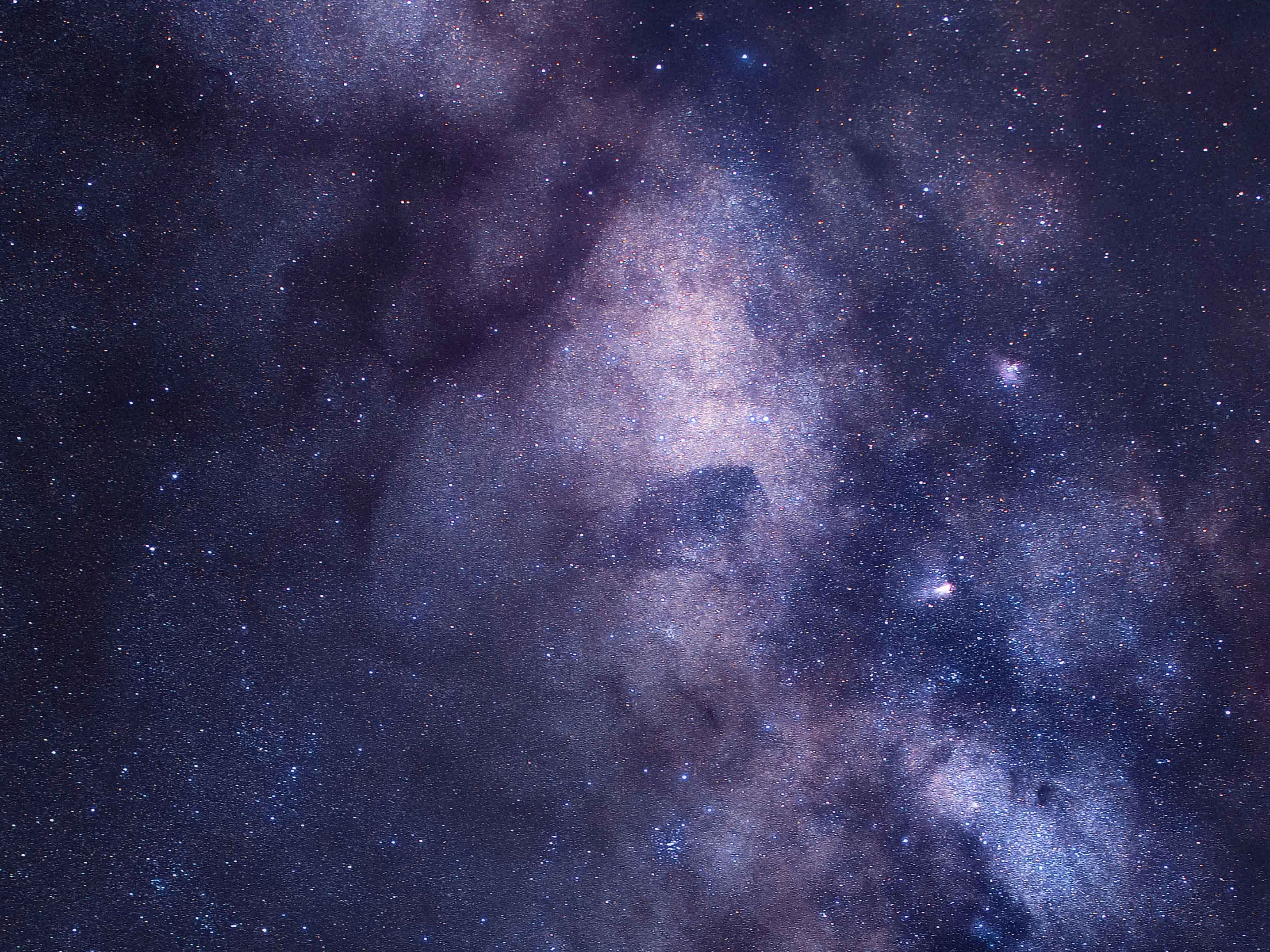 François Guinaudeau – Image 1