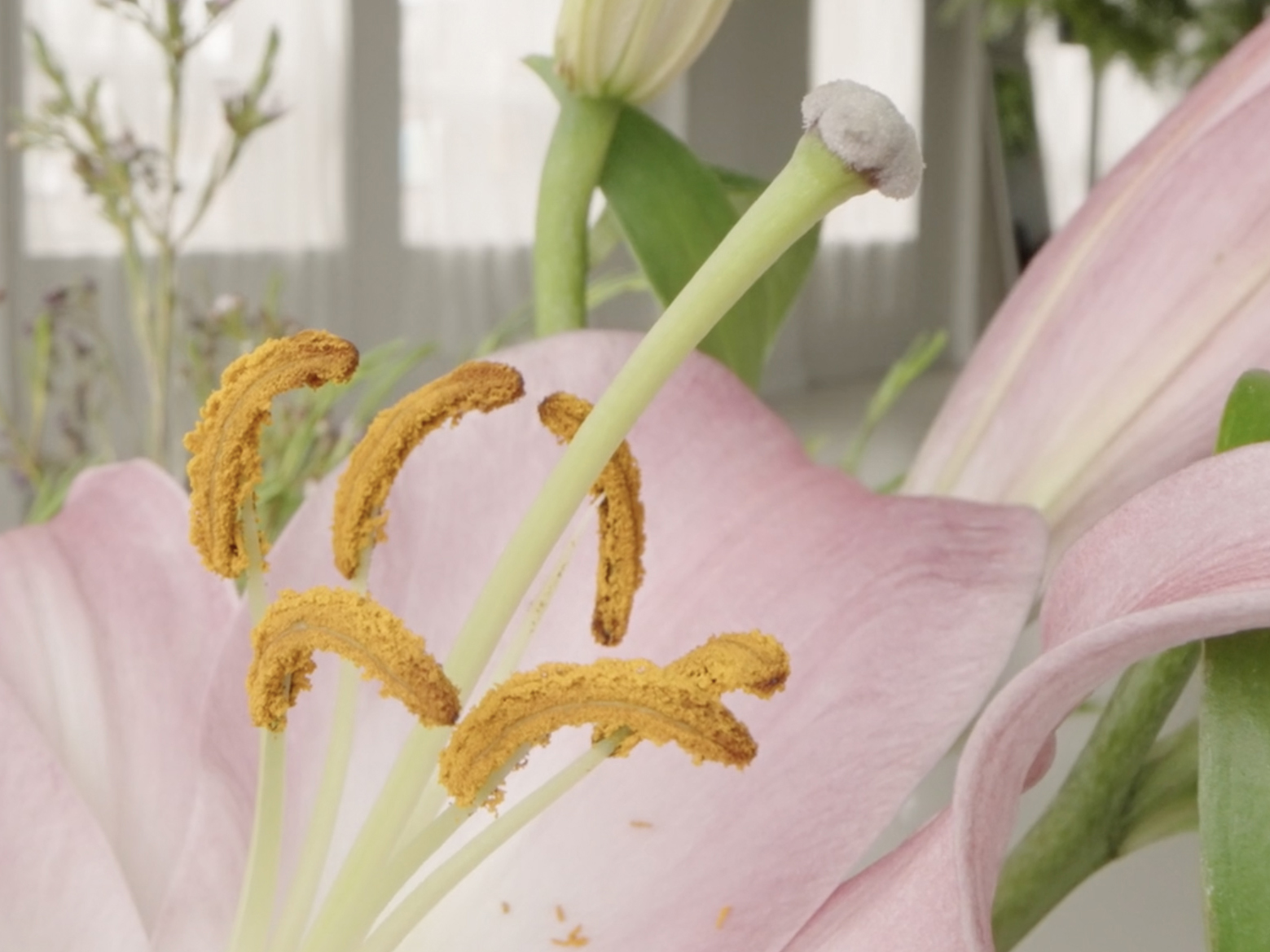 Jean-Marc Abela – Image 4