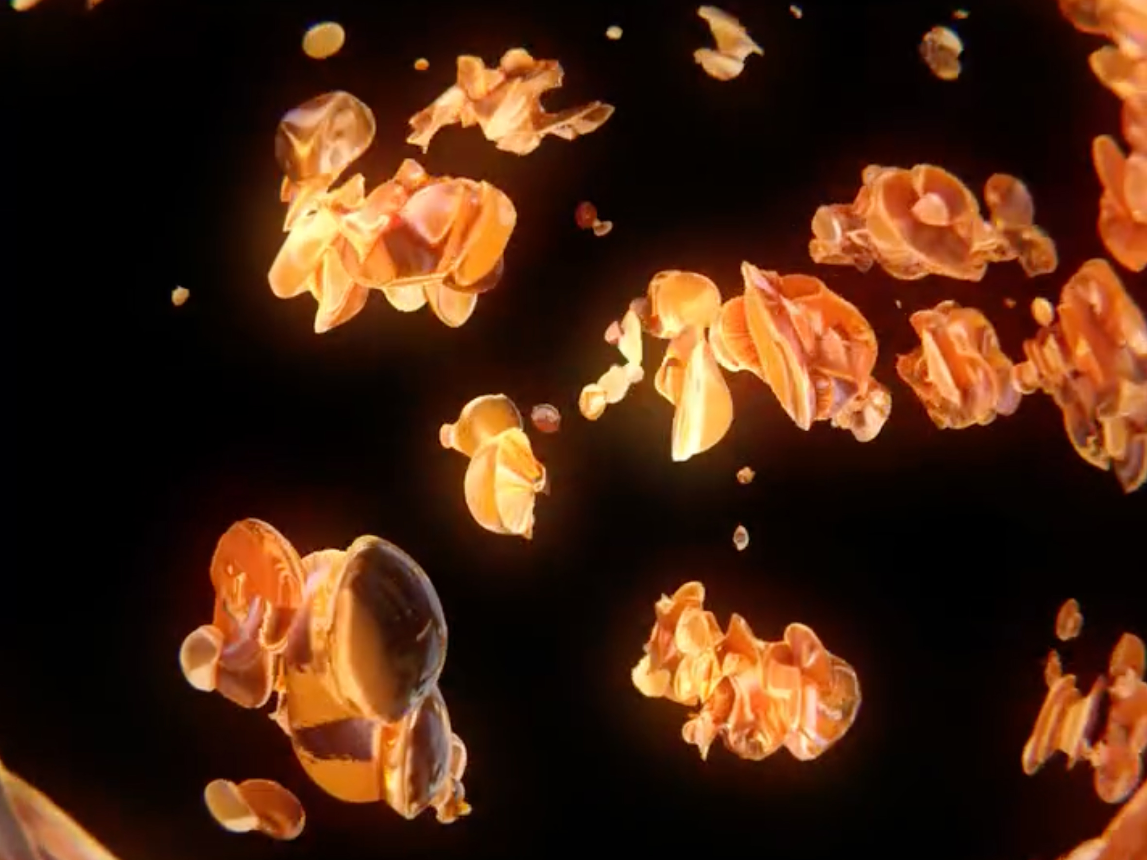 Julien Lassignardie – Image 2