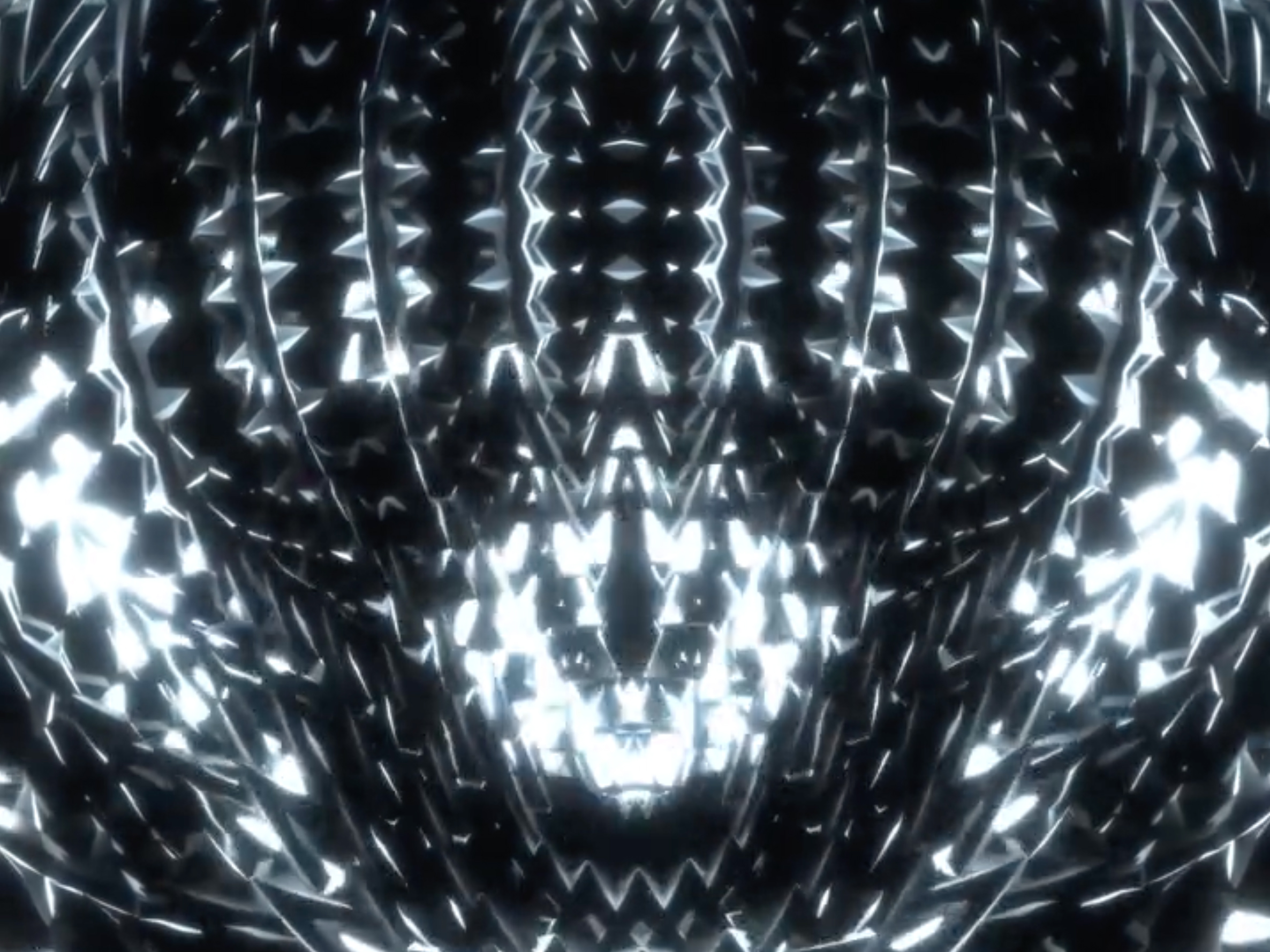 Julien Lassignardie – Image 3