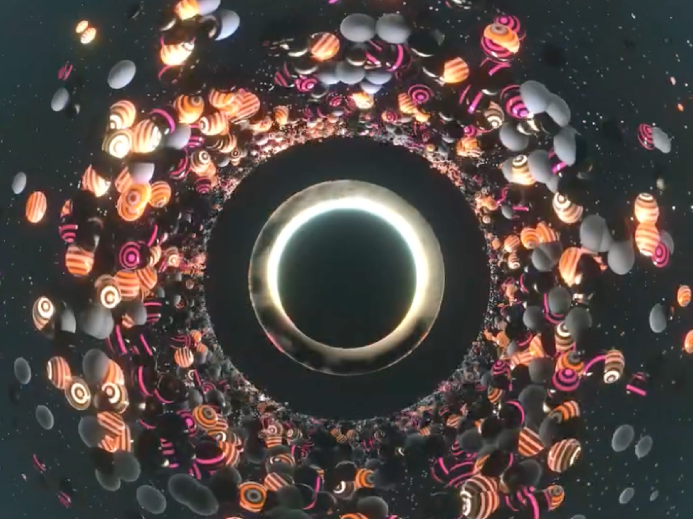 Julien Lassignardie – Image 5