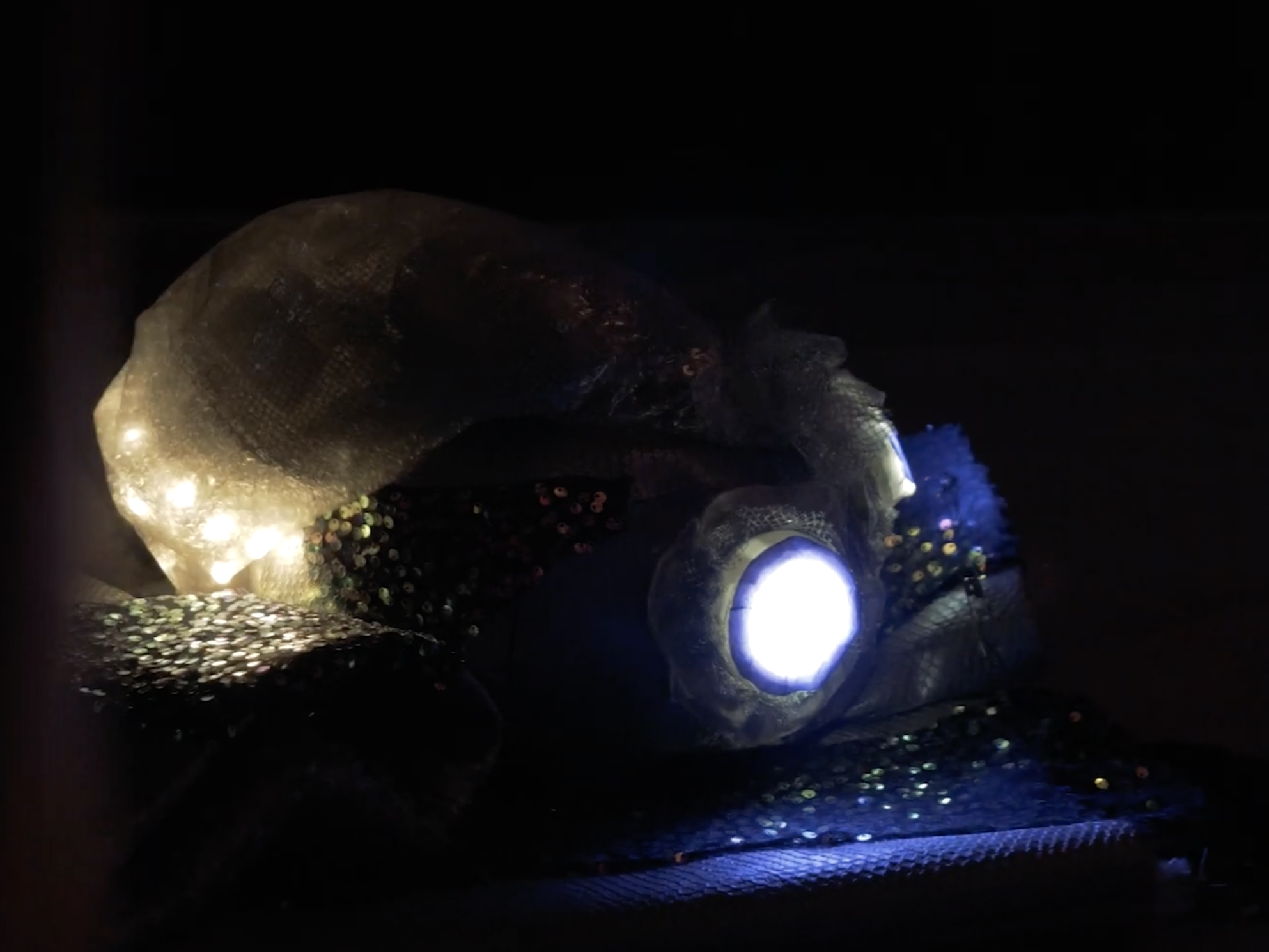 Lucile Prosper – Image 3