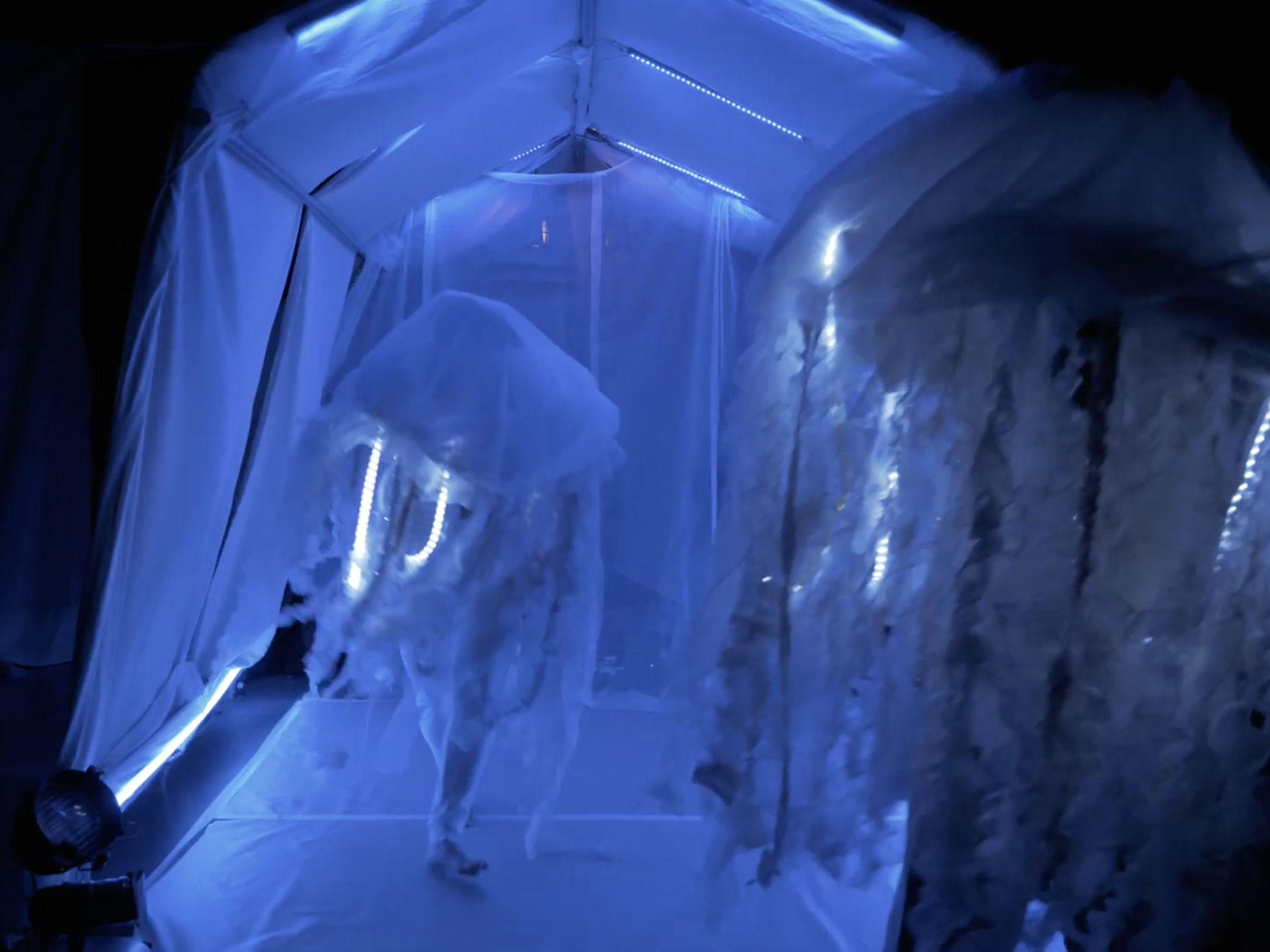 Lucile Prosper – Image 5