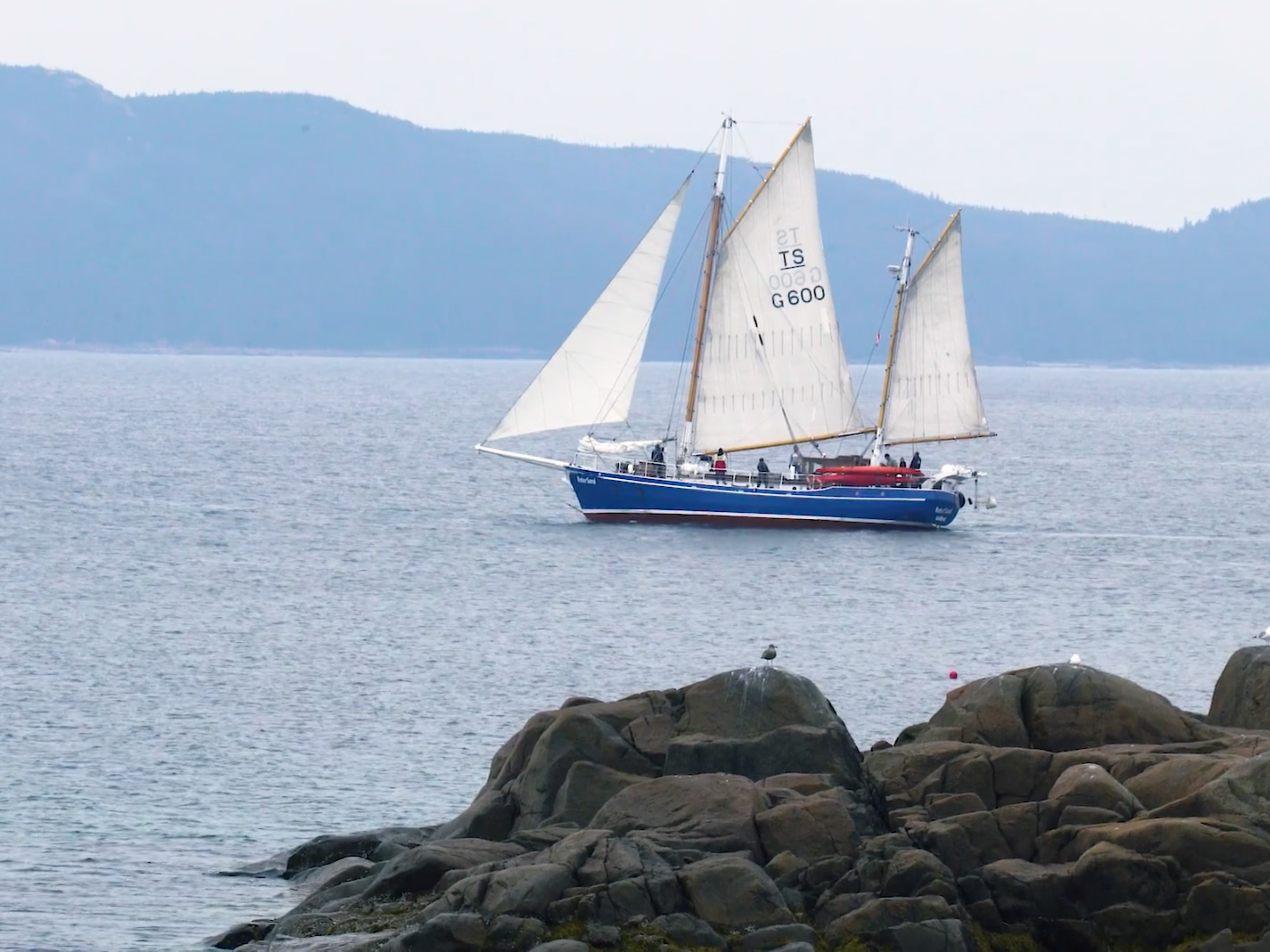 Noé Sardet – Image 3