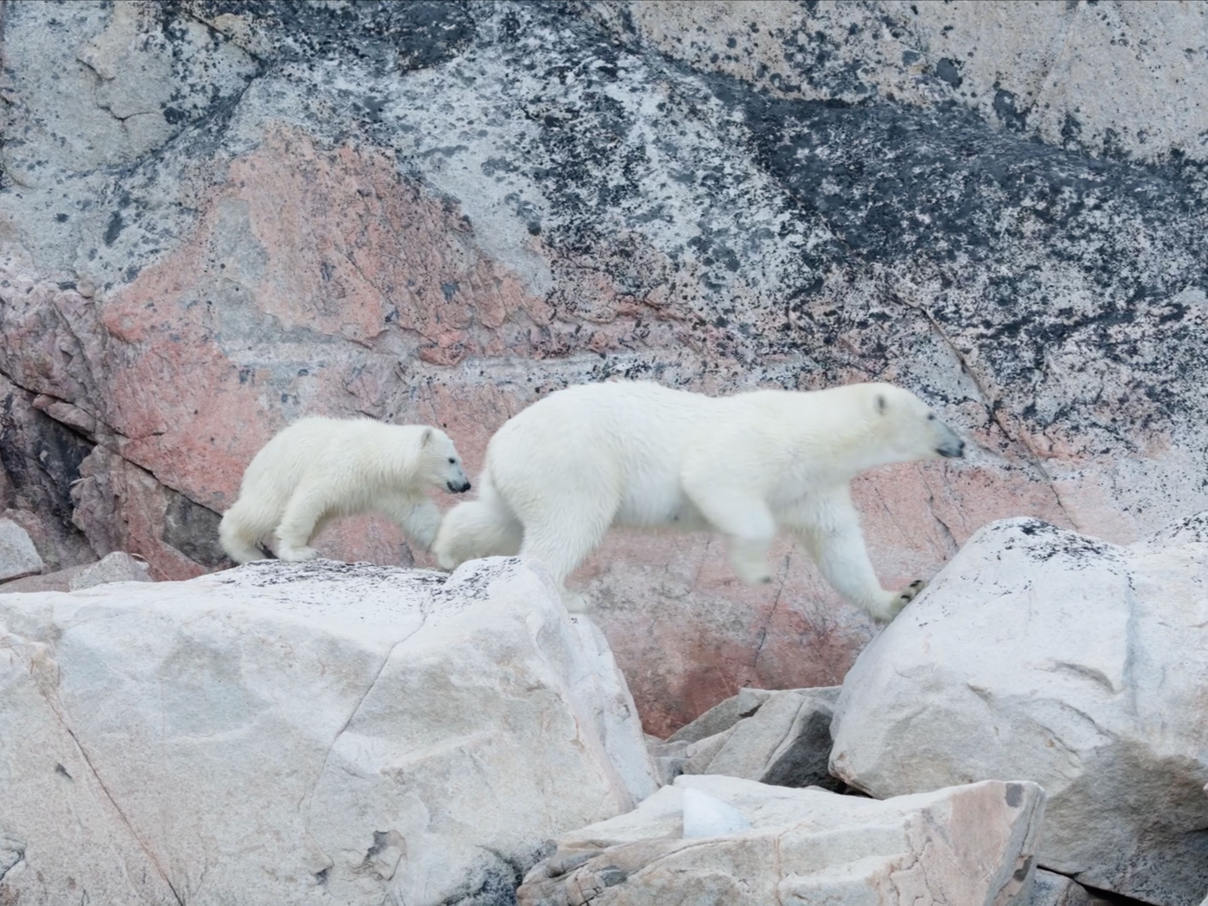 Richard Mardens – Image 5