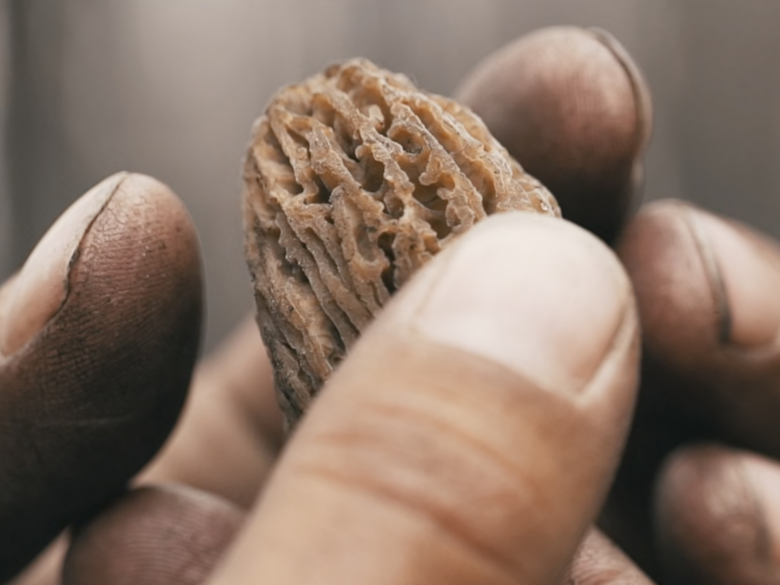 Valentin Proult – Image 1